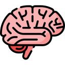 Neuroplasticity